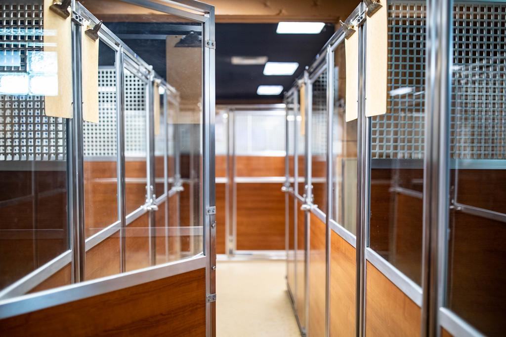 Glass-front boarding suites lining a hallway at Happy Dog