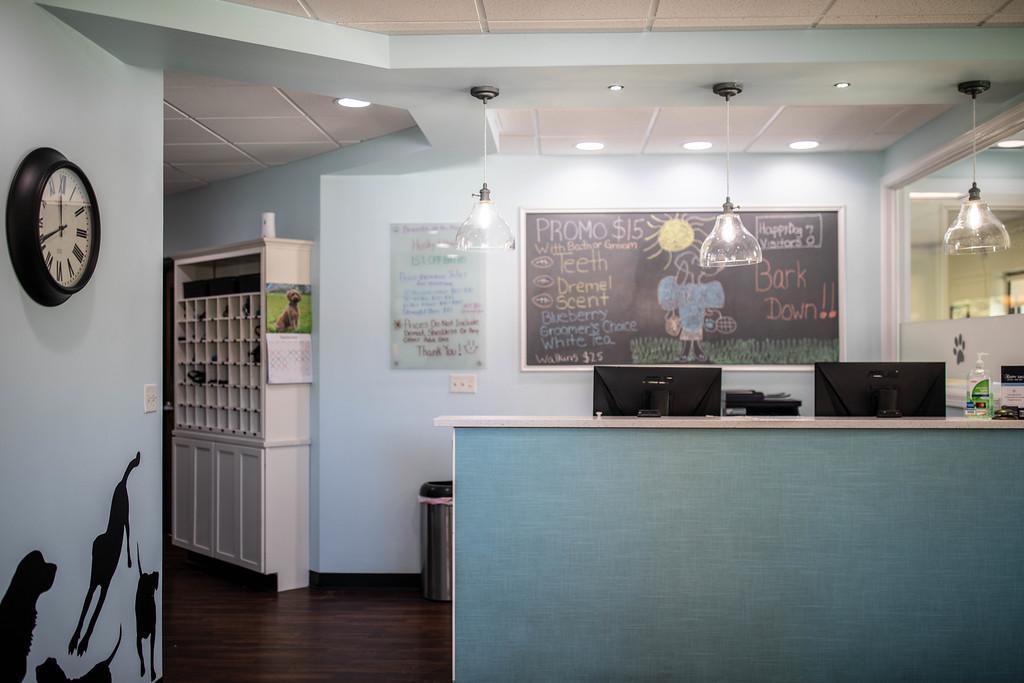 The Happy Dog front desk and lobby, with a chalkboard sign and pendant lights